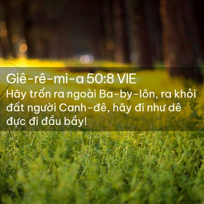 Picture 02 - Giê-rê-mi-a 50:8 VIE - Hãy trốn ra ngoài Ba-by-lôn, ra khỏi - Bible Verse Picture