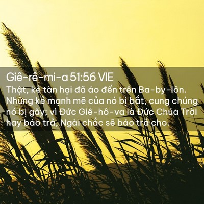 Picture 02 - Giê-rê-mi-a 51:56 VIE - Thật, kẻ tàn hại đã áo đến trên - Bible Verse Picture
