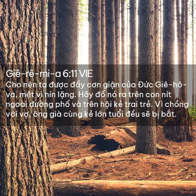 Picture 02 - Giê-rê-mi-a 6:11 VIE - Cho nên ta được đầy cơn giận của - Bible Verse Picture