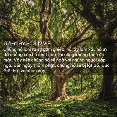 Picture 02 - Giê-rê-mi-a 8:12 VIE - Chúng nó làm ra sự gớm ghiếc, há lấy - Bible Verse Picture