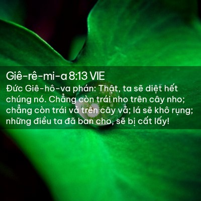 Picture 02 - Giê-rê-mi-a 8:13 VIE - Đức Giê-hô-va phán: Thật, ta sẽ diệt - Bible Verse Picture