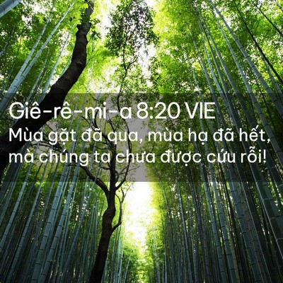 Picture 02 - Giê-rê-mi-a 8:20 VIE - Mùa gặt đã qua, mùa hạ đã hết, mà - Bible Verse Picture