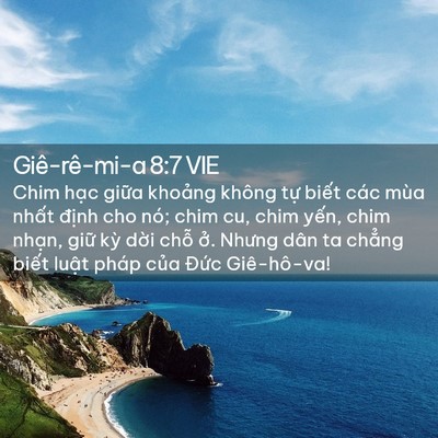 Picture 02 - Giê-rê-mi-a 8:7 VIE - Chim hạc giữa khoảng không tự biết - Bible Verse Picture
