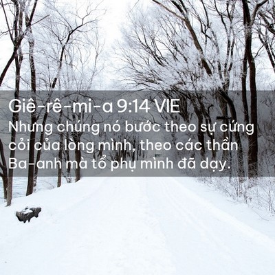 Picture 02 - Giê-rê-mi-a 9:14 VIE - Nhưng chúng nó bước theo sự cứng cỏi - Bible Verse Picture