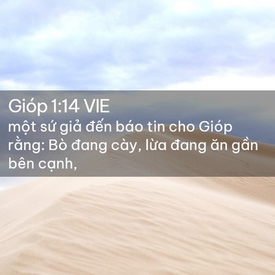 Picture 02 - Gióp 1:14 VIE - một sứ giả đến báo tin cho Gióp - Bible Verse Picture