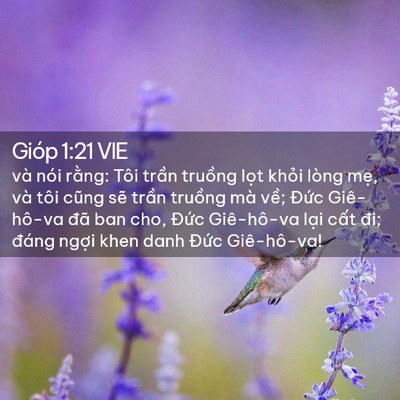 Picture 02 - Gióp 1:21 VIE - và nói rằng: Tôi trần truồng lọt - Bible Verse Picture