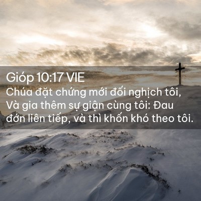 Picture 02 - Gióp 10:17 VIE - Chúa đặt chứng mới đối nghịch tôi, - Bible Verse Picture