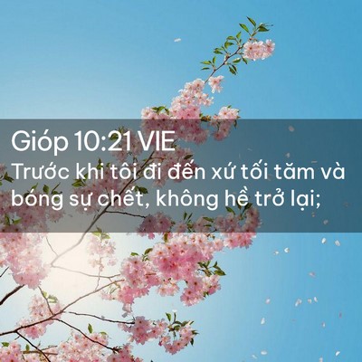 Picture 02 - Gióp 10:21 VIE - Trước khi tôi đi đến xứ tối tăm và - Bible Verse Picture