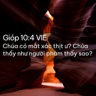 Picture 02 - Gióp 10:4 VIE - Chúa có mắt xác thịt ư? Chúa thấy như - Bible Verse Picture