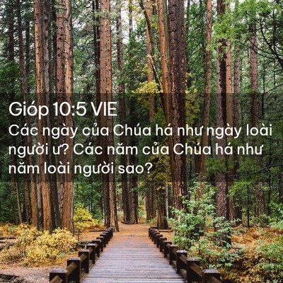 Picture 02 - Gióp 10:5 VIE - Các ngày của Chúa há như ngày loài - Bible Verse Picture