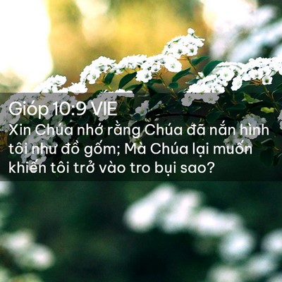 Picture 02 - Gióp 10:9 VIE - Xin Chúa nhớ rằng Chúa đã nắn hình - Bible Verse Picture