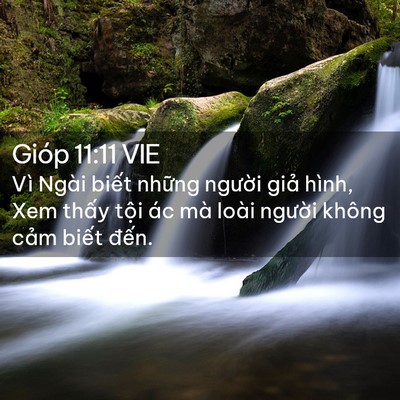 Picture 02 - Gióp 11:11 VIE - Vì Ngài biết những người giả hình, - Bible Verse Picture