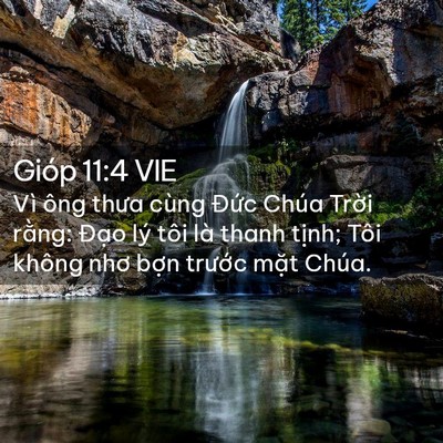 Picture 02 - Gióp 11:4 VIE - Vì ông thưa cùng Đức Chúa Trời rằng: - Bible Verse Picture