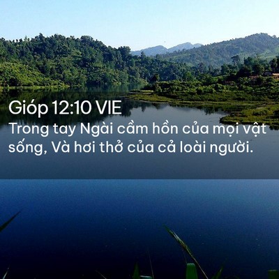 Picture 02 - Gióp 12:10 VIE - Trong tay Ngài cầm hồn của mọi vật - Bible Verse Picture