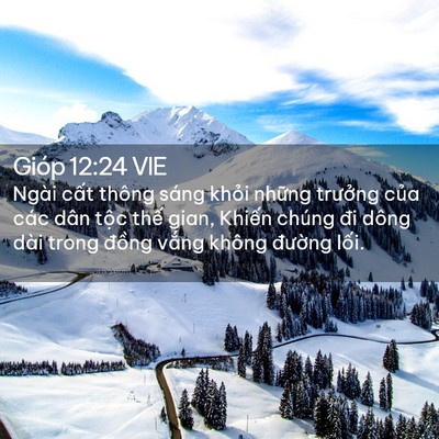 Picture 02 - Gióp 12:24 VIE - Ngài cất thông sáng khỏi những trưởng - Bible Verse Picture
