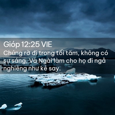 Picture 02 - Gióp 12:25 VIE - Chúng rờ đi trong tối tăm, không có sự - Bible Verse Picture