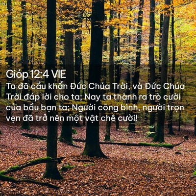 Picture 02 - Gióp 12:4 VIE - Ta đã cầu khẩn Đức Chúa Trời, và - Bible Verse Picture
