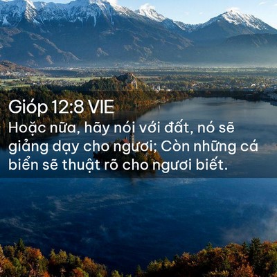 Picture 02 - Gióp 12:8 VIE - Hoặc nữa, hãy nói với đất, nó sẽ - Bible Verse Picture