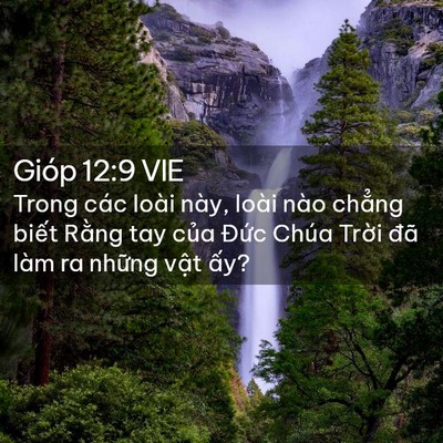 Picture 02 - Gióp 12:9 VIE - Trong các loài này, loài nào chẳng biết - Bible Verse Picture