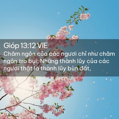 Picture 02 - Gióp 13:12 VIE - Châm ngôn của các ngươi chỉ như châm - Bible Verse Picture