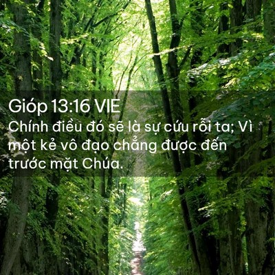 Picture 02 - Gióp 13:16 VIE - Chính điều đó sẽ là sự cứu rỗi ta; - Bible Verse Picture