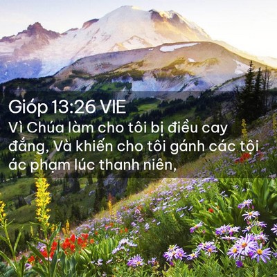 Picture 02 - Gióp 13:26 VIE - Vì Chúa làm cho tôi bị điều cay đắng, - Bible Verse Picture