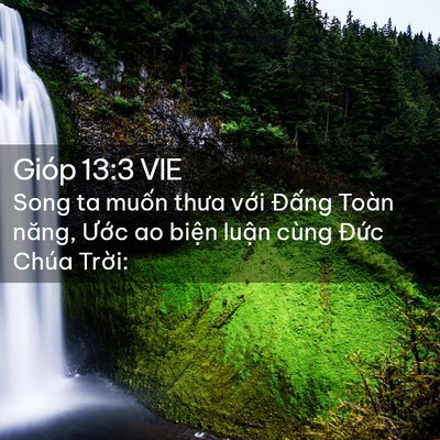 Picture 02 - Gióp 13:3 VIE - Song ta muốn thưa với Đấng Toàn năng, - Bible Verse Picture