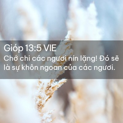 Picture 02 - Gióp 13:5 VIE - Chớ chi các ngươi nín lặng! Đó sẽ là - Bible Verse Picture