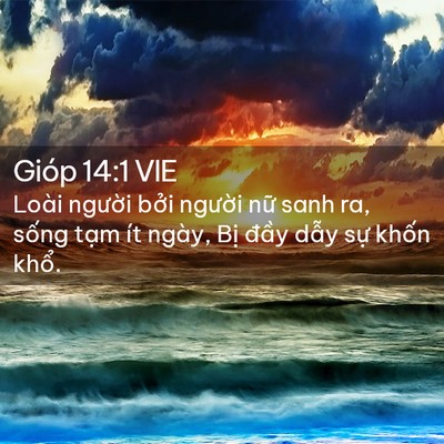 Picture 02 - Gióp 14:1 VIE - Loài người bởi người nữ sanh ra, - Bible Verse Picture