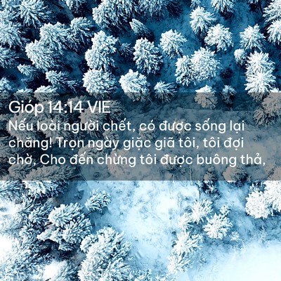 Picture 02 - Gióp 14:14 VIE - Nếu loài người chết, có được sống - Bible Verse Picture