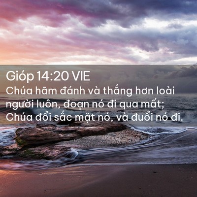 Picture 02 - Gióp 14:20 VIE - Chúa hãm đánh và thắng hơn loài người - Bible Verse Picture