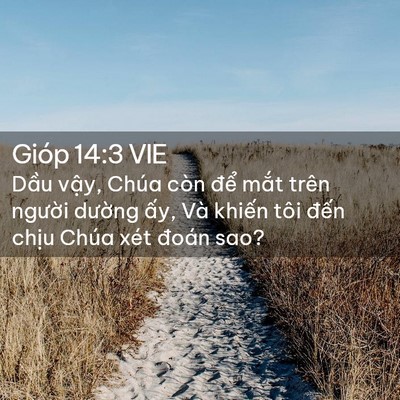 Picture 02 - Gióp 14:3 VIE - Dầu vậy, Chúa còn để mắt trên - Bible Verse Picture