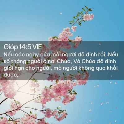 Picture 02 - Gióp 14:5 VIE - Nếu các ngày của loài người đã - Bible Verse Picture