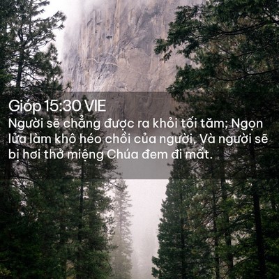 Picture 02 - Gióp 15:30 VIE - Người sẽ chẳng được ra khỏi tối - Bible Verse Picture