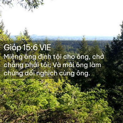 Picture 02 - Gióp 15:6 VIE - Miệng ông định tội cho ông, chớ - Bible Verse Picture