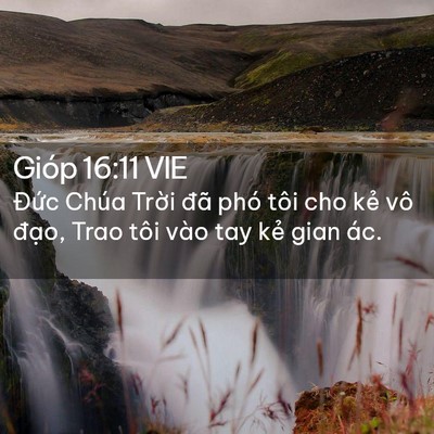 Picture 02 - Gióp 16:11 VIE - Đức Chúa Trời đã phó tôi cho kẻ vô - Bible Verse Picture