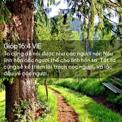 Picture 02 - Gióp 16:4 VIE - Ta cũng dễ nói được như các ngươi - Bible Verse Picture