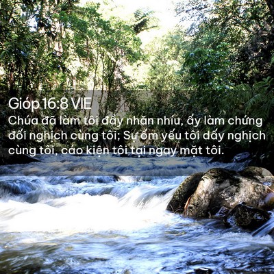 Picture 02 - Gióp 16:8 VIE - Chúa đã làm tôi đầy nhăn nhíu, ấy - Bible Verse Picture