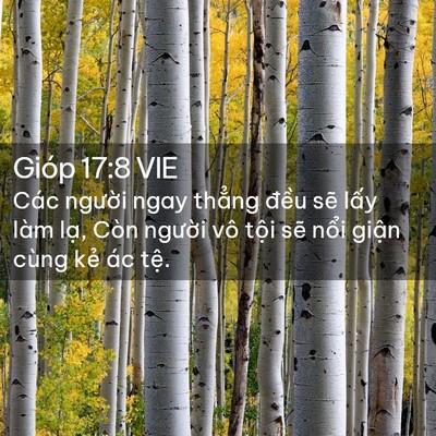 Picture 02 - Gióp 17:8 VIE - Các người ngay thẳng đều sẽ lấy làm - Bible Verse Picture