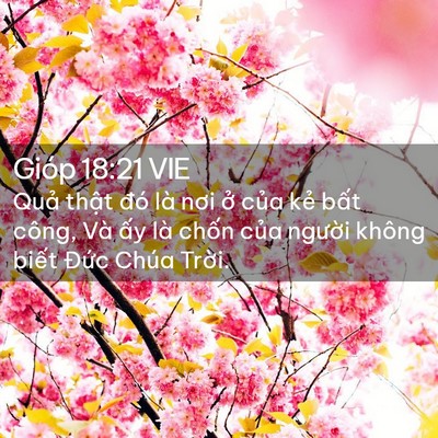 Picture 02 - Gióp 18:21 VIE - Quả thật đó là nơi ở của kẻ bất - Bible Verse Picture