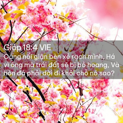 Picture 02 - Gióp 18:4 VIE - Oâng nổi giận bèn xẻ rạch mình, Há - Bible Verse Picture