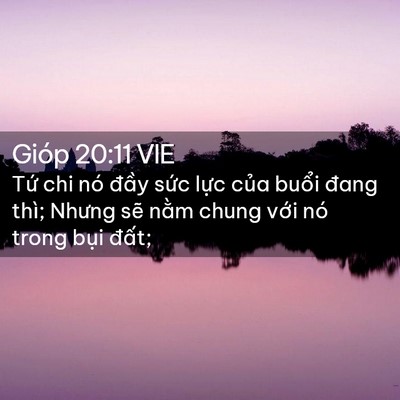 Picture 02 - Gióp 20:11 VIE - Tứ chi nó đầy sức lực của buổi - Bible Verse Picture