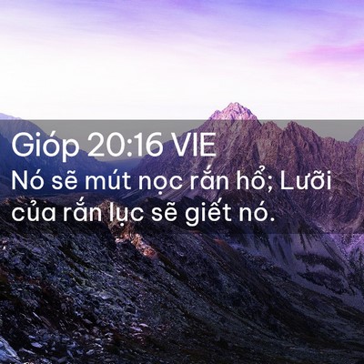 Picture 02 - Gióp 20:16 VIE - Nó sẽ mút nọc rắn hổ; Lưỡi của - Bible Verse Picture