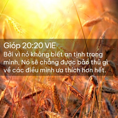 Picture 02 - Gióp 20:20 VIE - Bởi vì nó không biết an tịnh trong - Bible Verse Picture
