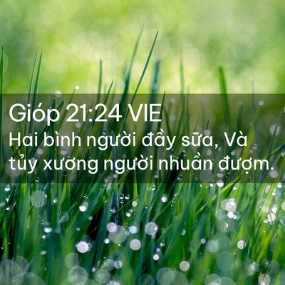 Picture 02 - Gióp 21:24 VIE - Hai bình người đầy sữa, Và tủy - Bible Verse Picture