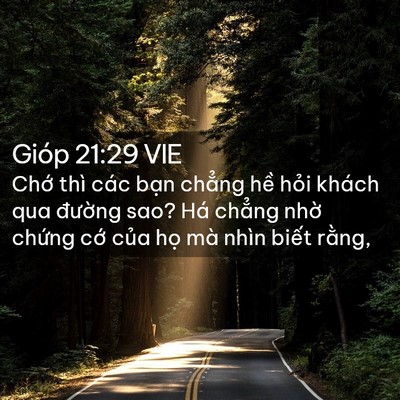 Picture 02 - Gióp 21:29 VIE - Chớ thì các bạn chẳng hề hỏi khách - Bible Verse Picture