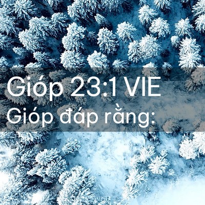Picture 02 - Gióp 23:1 VIE - Gióp đáp - Bible Verse Picture
