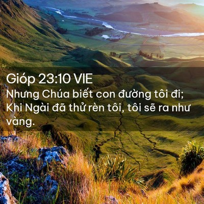 Picture 02 - Gióp 23:10 VIE - Nhưng Chúa biết con đường tôi đi; Khi - Bible Verse Picture
