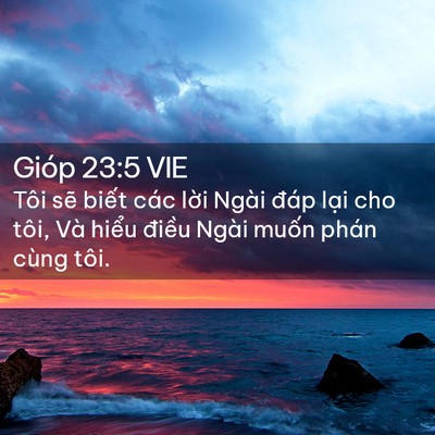Picture 02 - Gióp 23:5 VIE - Tôi sẽ biết các lời Ngài đáp lại cho - Bible Verse Picture