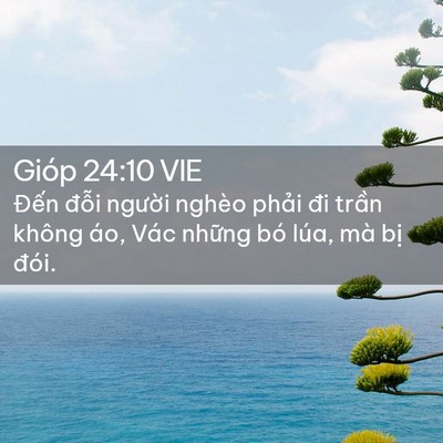 Picture 02 - Gióp 24:10 VIE - Đến đỗi người nghèo phải đi trần - Bible Verse Picture